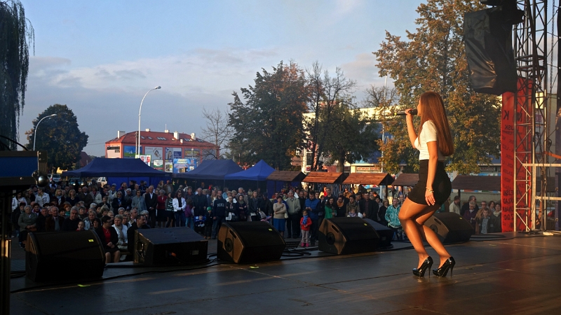 028.jpg